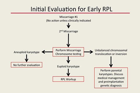 Recurrent Pregnancy Loss