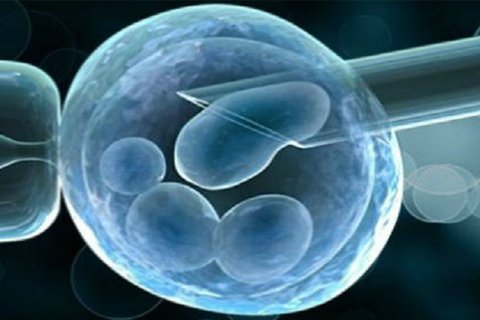 Preimplantation Genetic Diagnosis (PGD)